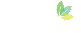 discover franklin logo