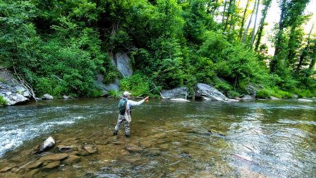 Fly Fishing in Franklin, NC Appalachian Mountains